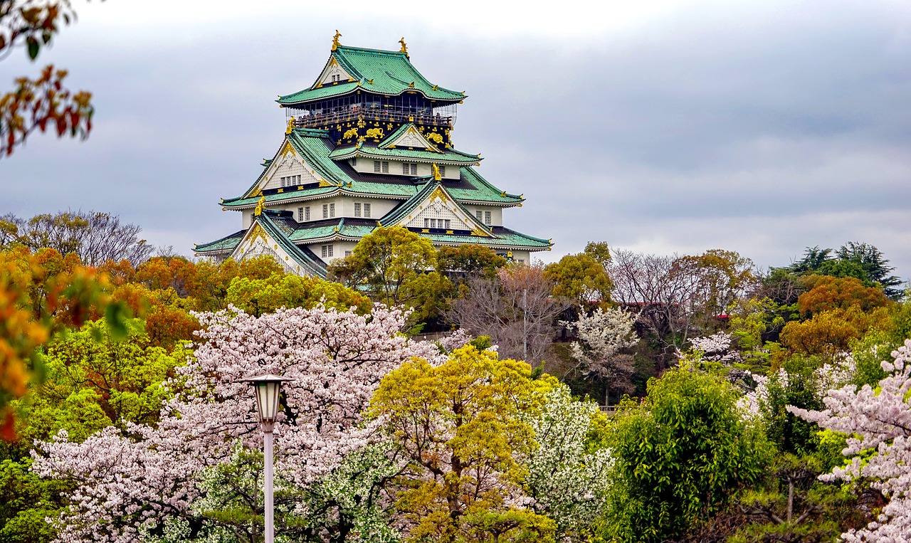 安徽追寻梦想的起点：为何选择高考后去日本留学？